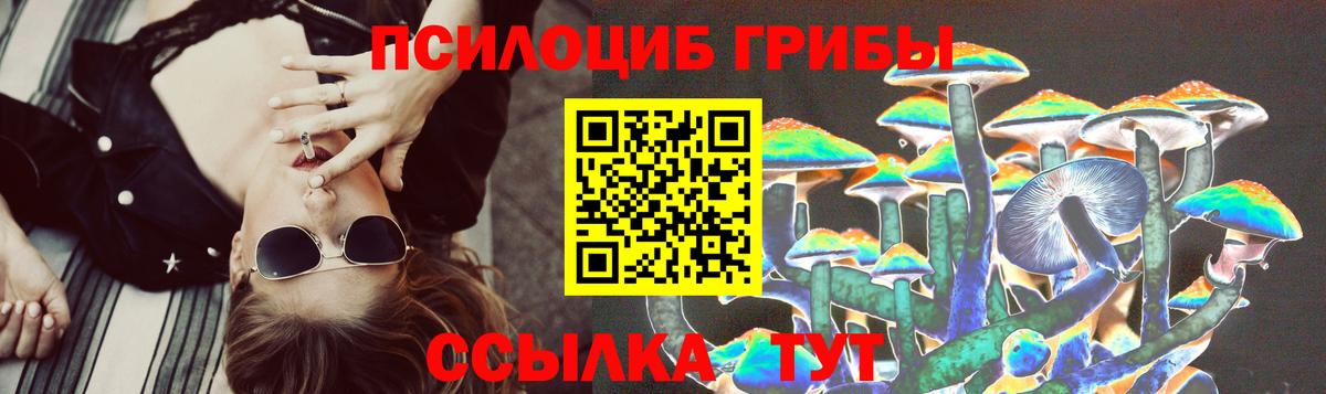 Псилоцибиновые грибы мицелий Майкоп